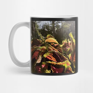 Contrast in Color Mug